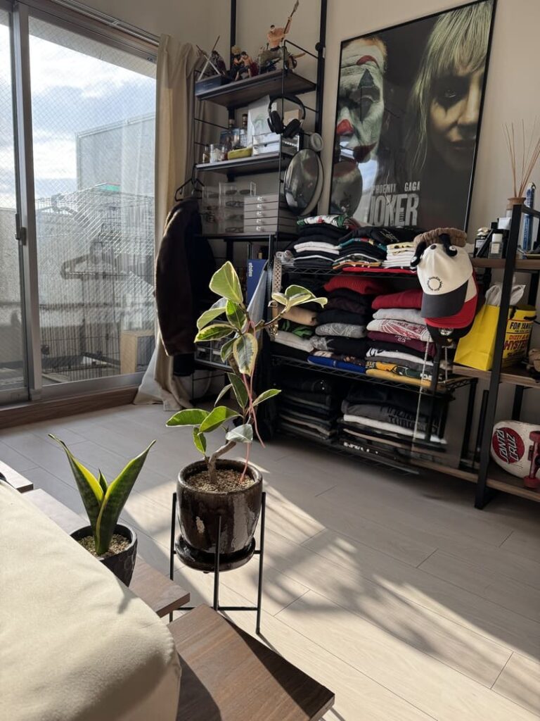 WARP WEBSHOP
